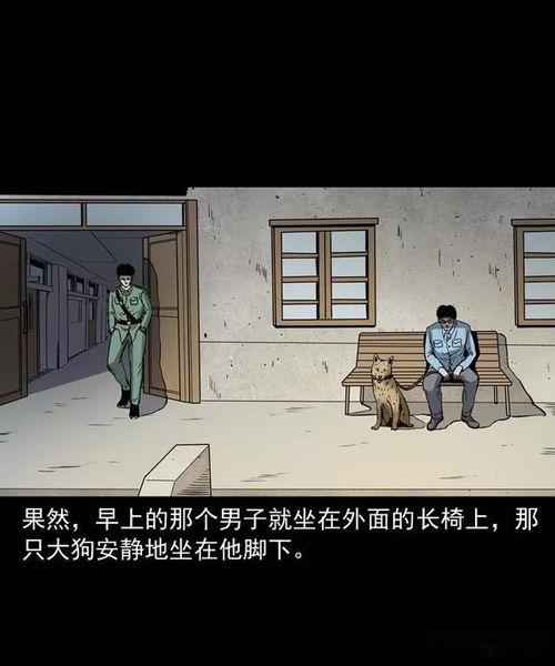 楼道诡事（消失的1803）,揭秘1803年神秘失踪之谜