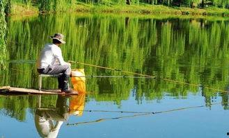 垂钓法则,揭秘钓鱼高手们的成功秘诀